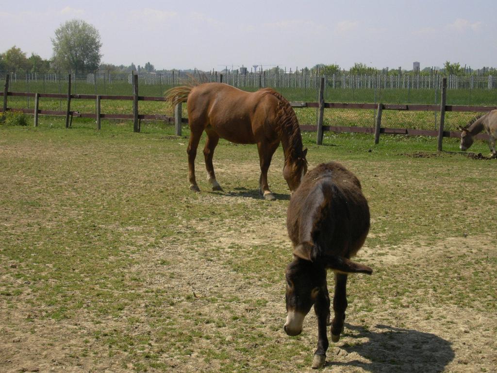 Farm stay Casa Carpanelli