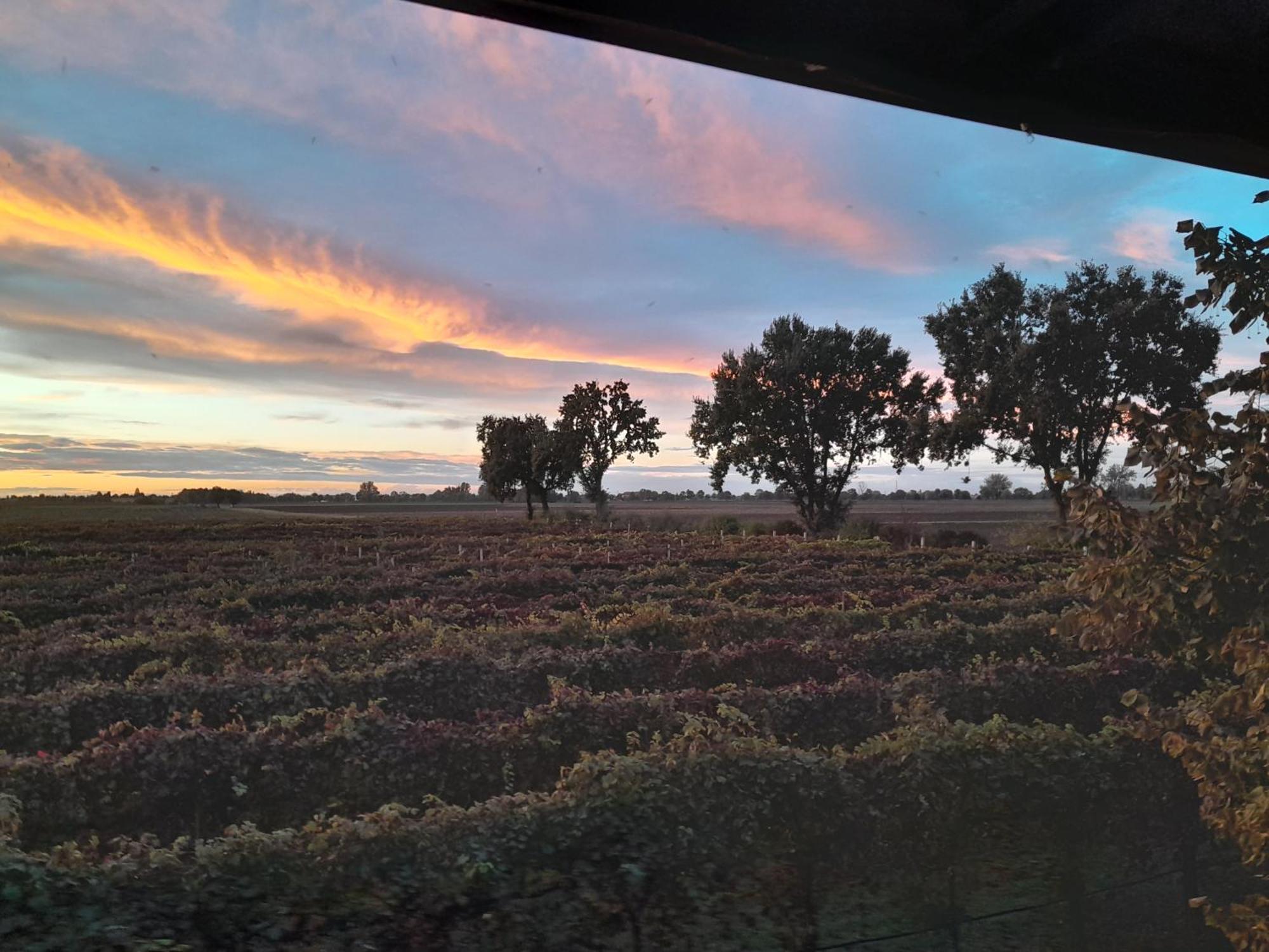 Farm stay Casa Carpanelli