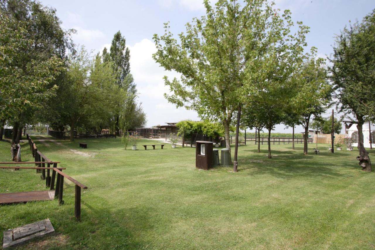 Casa Carpanelli Farm stay